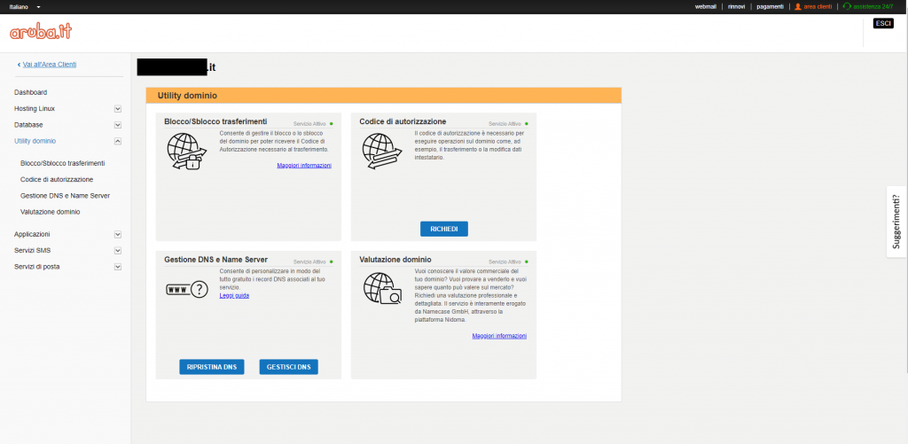 Gestione DNS attivata su Aruba